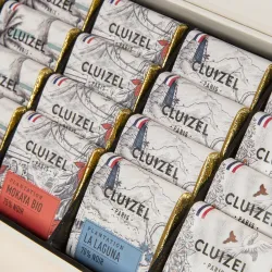 Box of Carrés Chocolats de Plantation N°28 | CLUIZEL