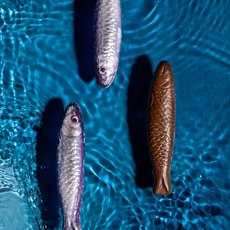 tin of milk chocolate sardines | CLUIZEL
