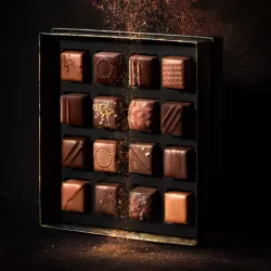 Coffret chocolat Les Exclusifs n°16 | CLUIZEL